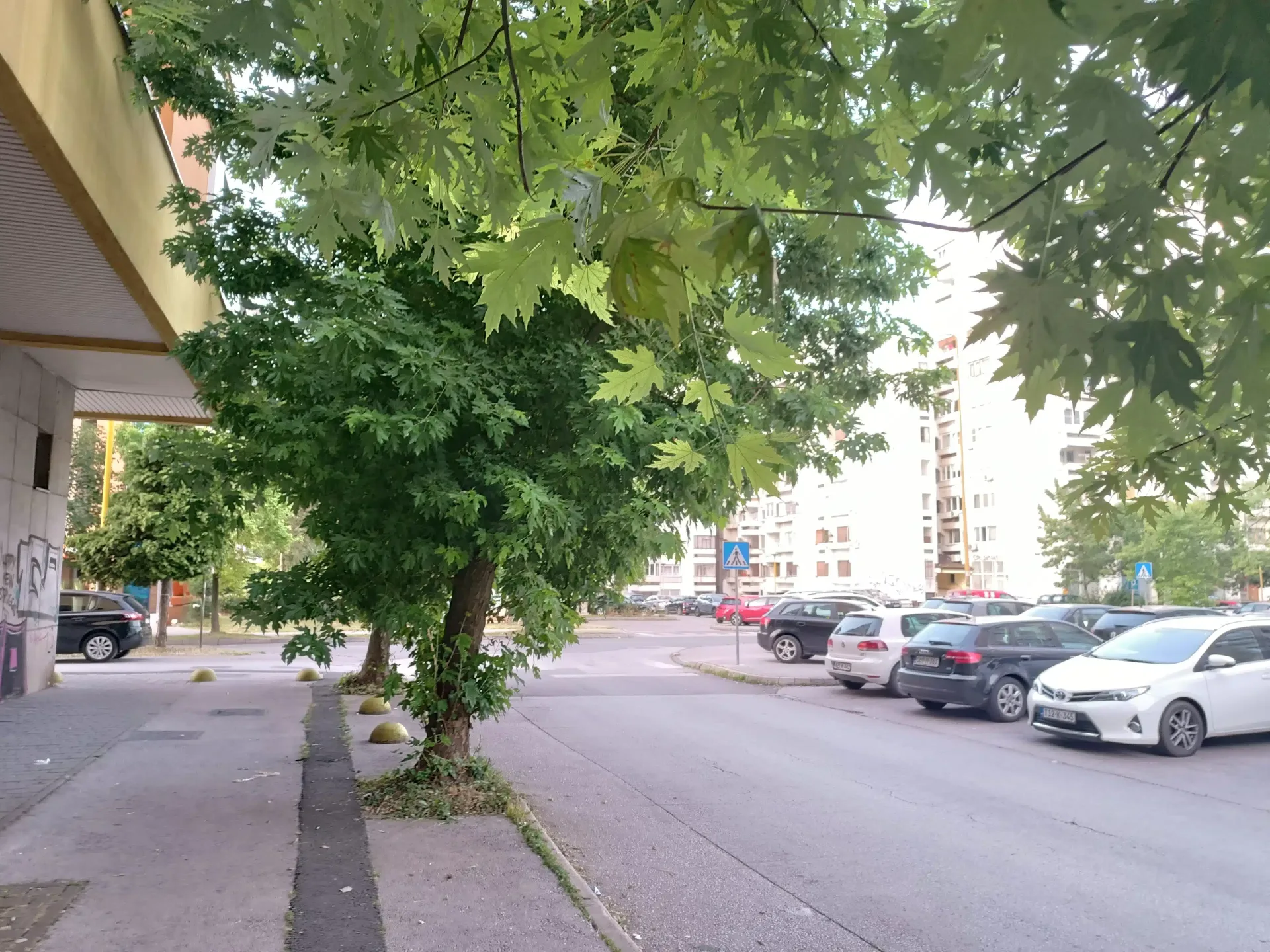 Jutarnje servisne informacije