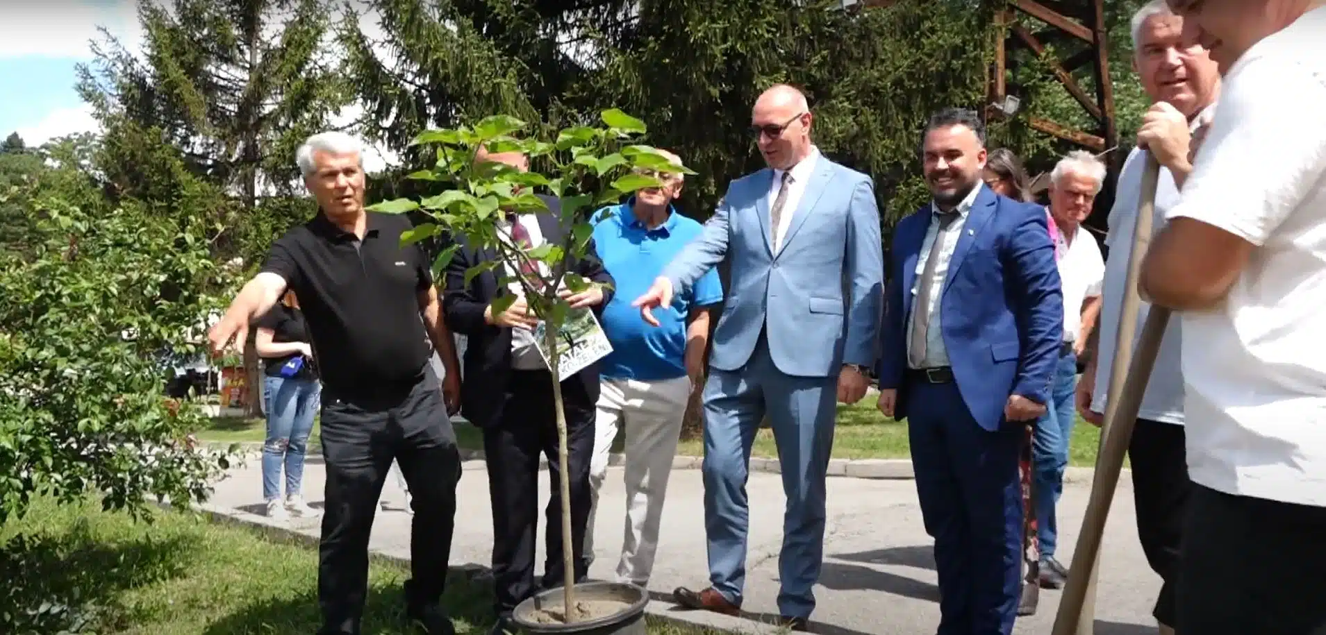 (Video) Na lokaciji blizu slanih slapova na Panonici posađeno je stablo Katalpe, medonosne i aromatične biljke