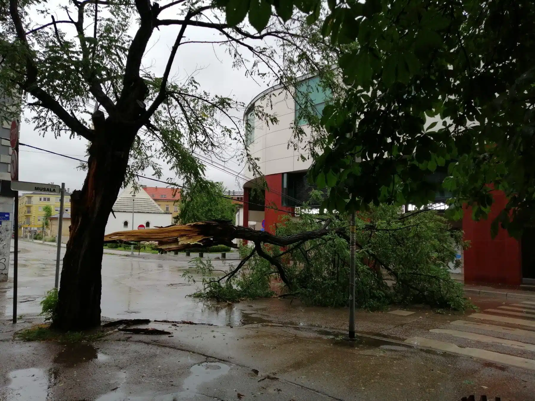 Nevrijeme u Tuzli: Odlomljena grana na saobraćajnici, kod parka blizu “Cipelića”