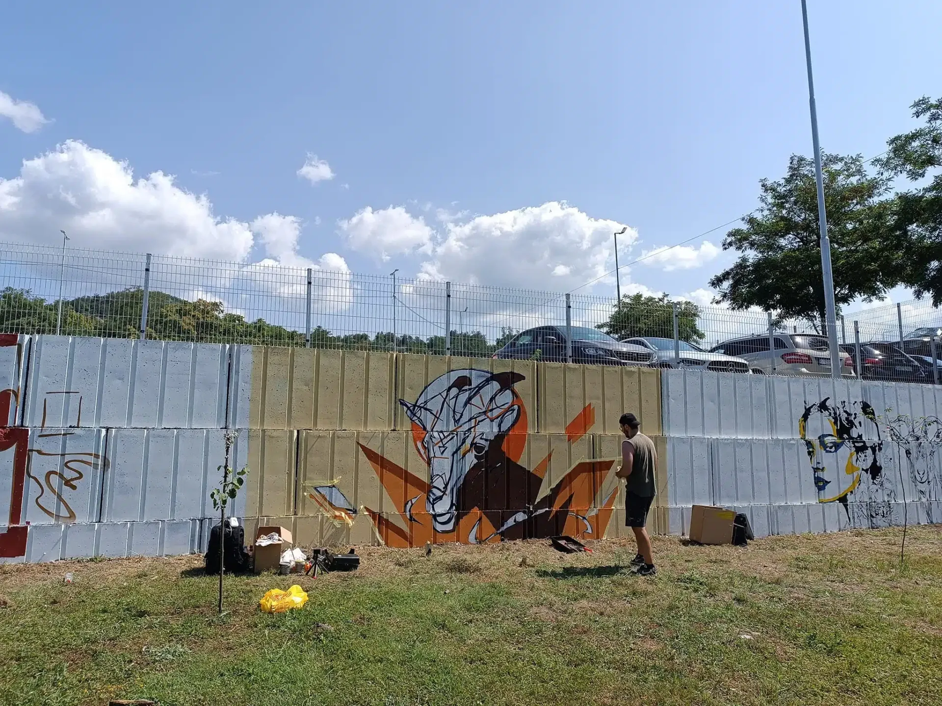(Video) Mladi umjetnici izrađuju murale sa motivima Tuzle