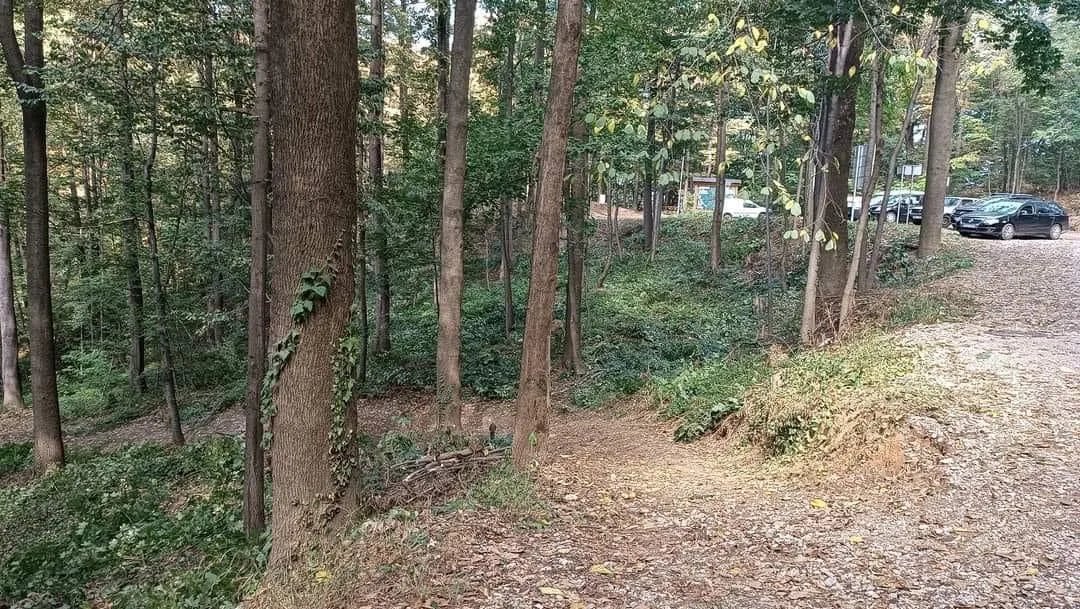 Adrenalinska atrakcija na Ilinčici: Novi zip line i park podići će turističku ponudu u Tuzli (FOTO)