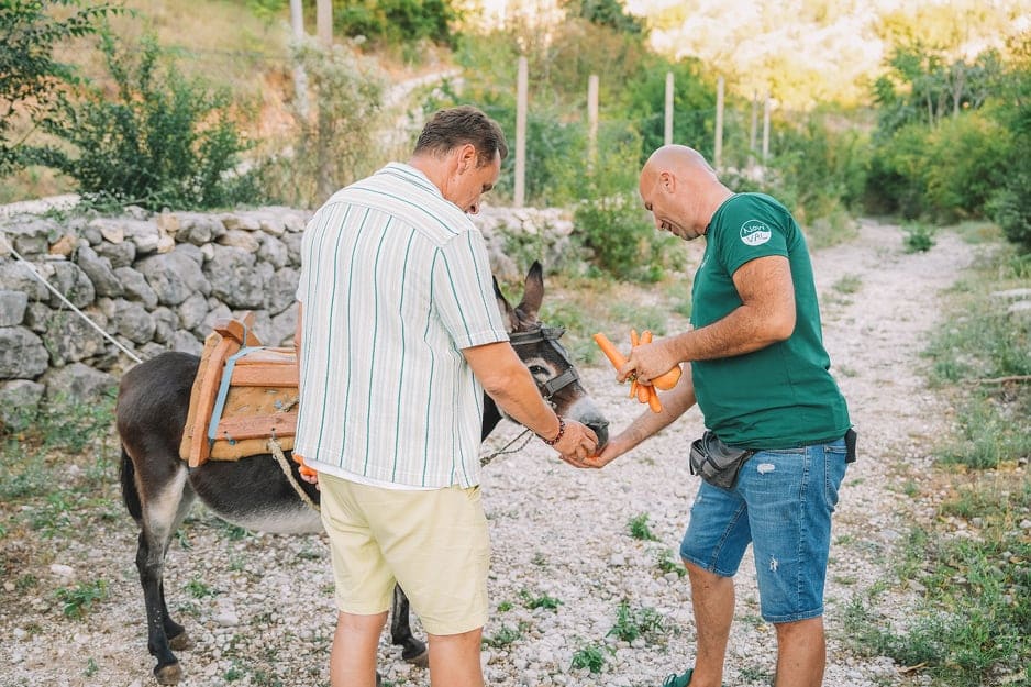 Enis U Mostaru: Naše Mjesto Kakvo Nema Ni Kalifornija enis u mostaru: naše mjesto kakvo nema ni kalifornija