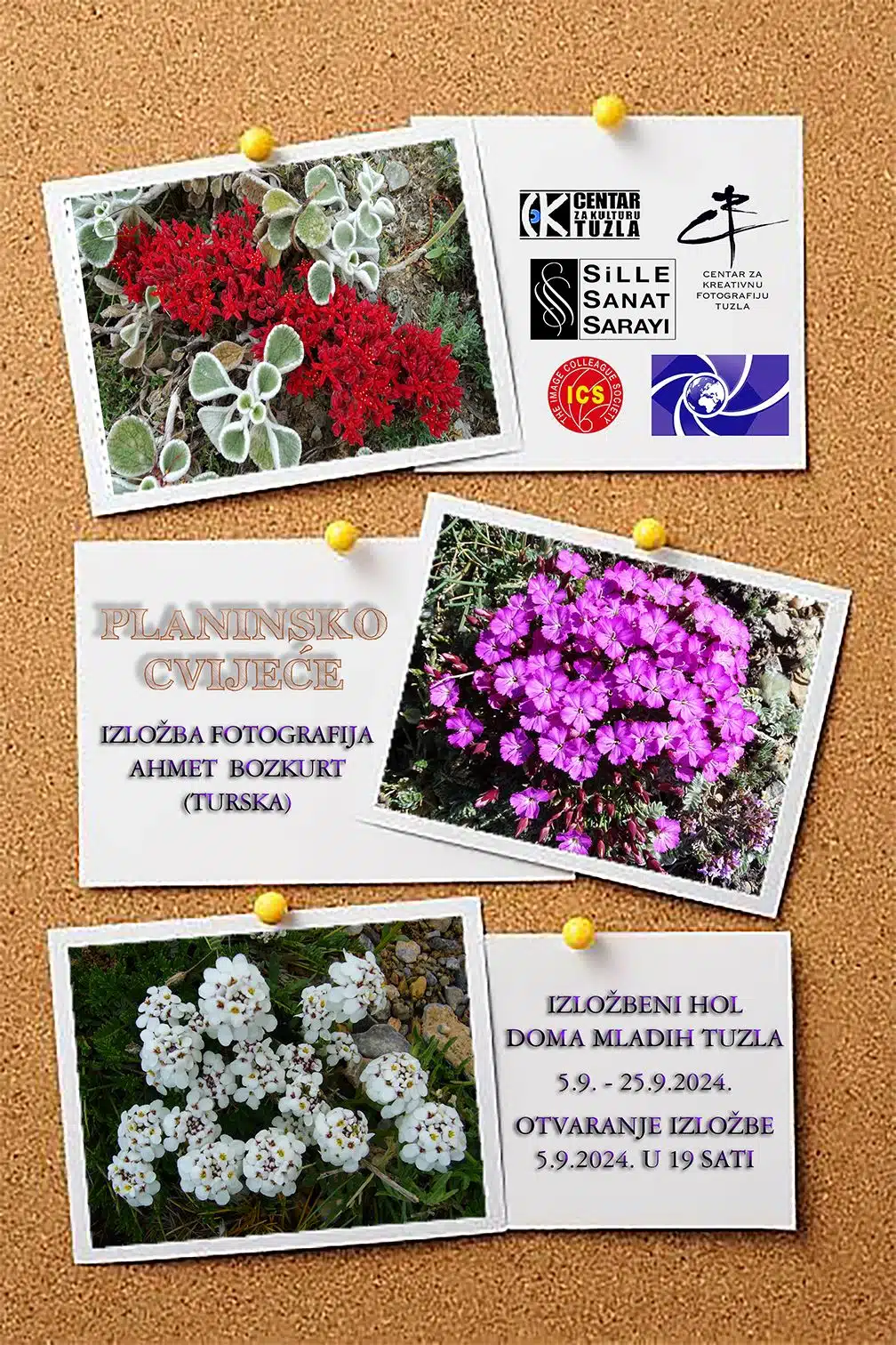 Izložba slika Ahmeta Bozkurta, fotografa, putnika, izletnika, planinara, pisca