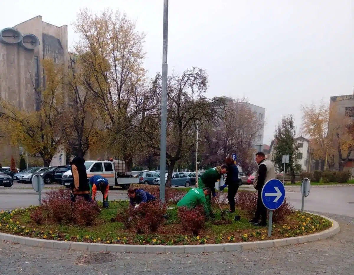 Grad Tuzla nastavlja sa sadnjom drveća u sklopu jesenjeg uređenja grada