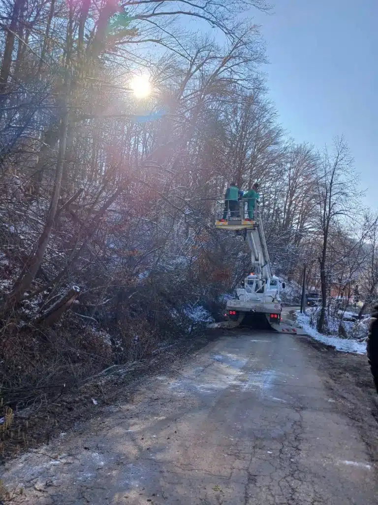 U toku orezivanje drveća u Tuzli zbog oštećenja usljed snježnih padavina