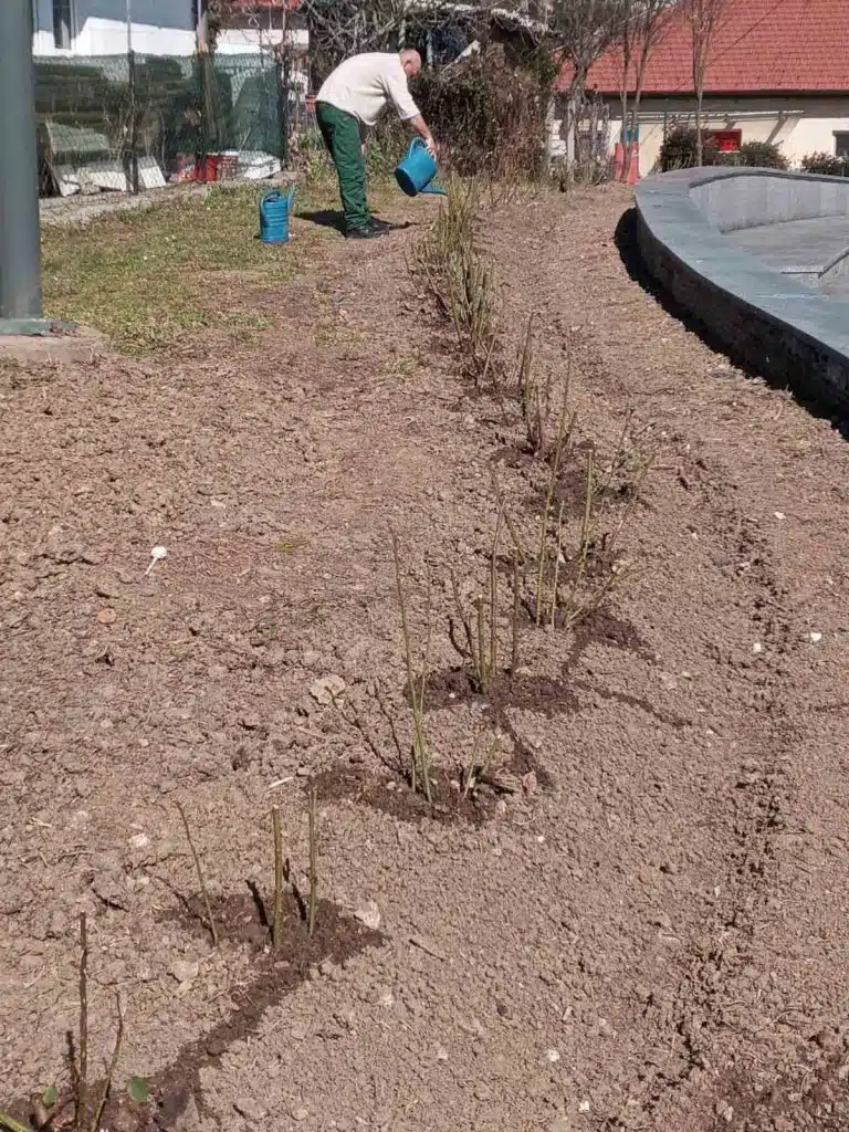 U Tuzli počele aktivnosti proljetnog čišćenja i uređenja javnih površina (FOTO) U Tuzli počele aktivnosti proljetnog čišćenja i uređenja javnih površina (FOTO)