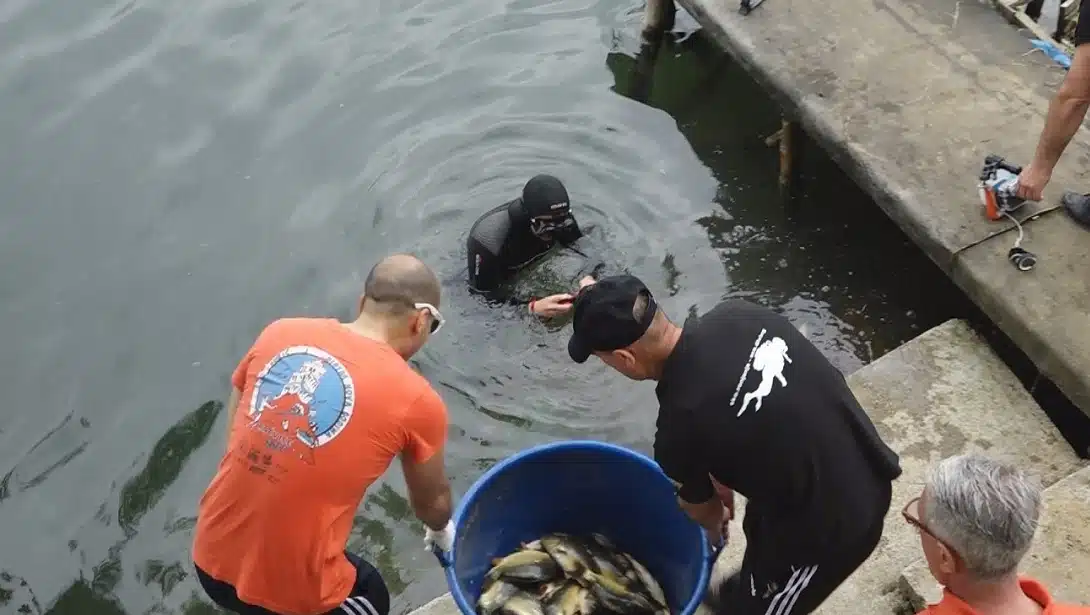 Organizovana akcija čišćenja obale  i poribljavanje jezera Kop Šićki Brod (VIDEO)