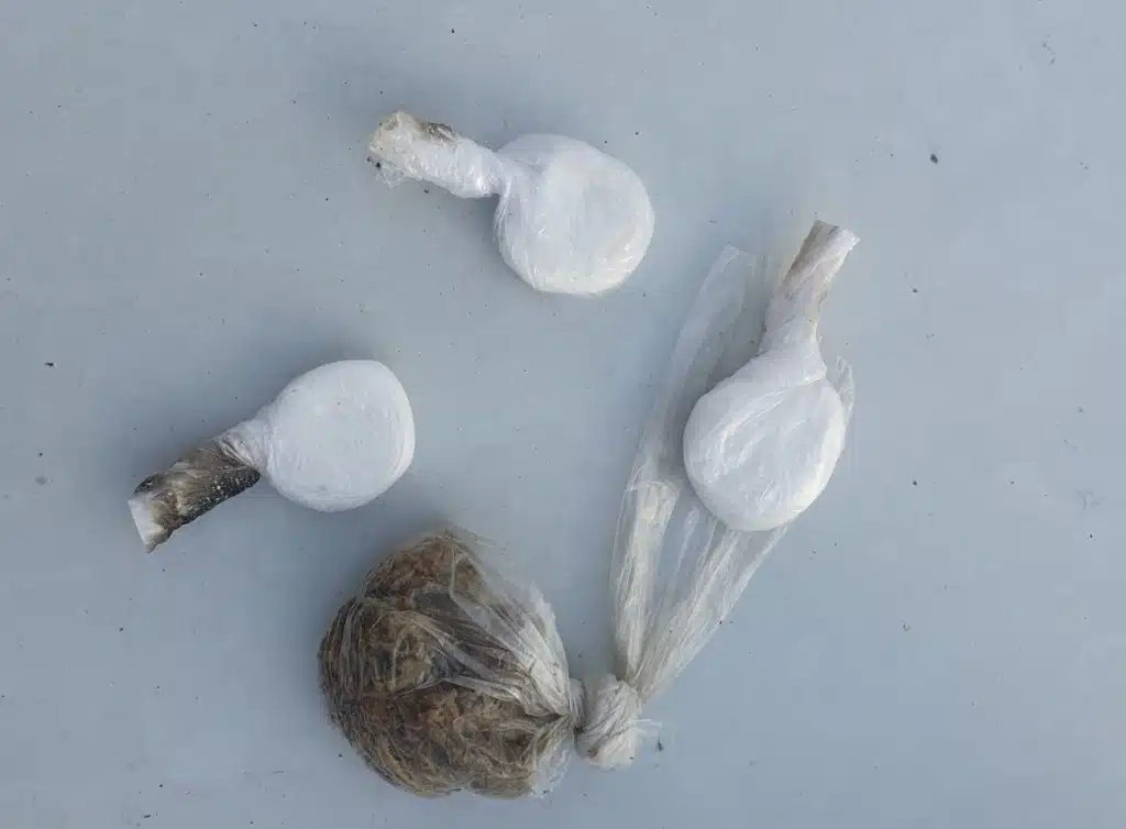 Velika akcija policije TK: Racije, zaplijena droge i municije, više osoba pod istragom (FOTO)