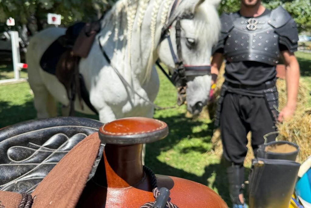 Tuzla iz sedla – nova turistička ponuda grada! (FOTO) Tuzla iz sedla – nova turistička ponuda grada! (FOTO)
