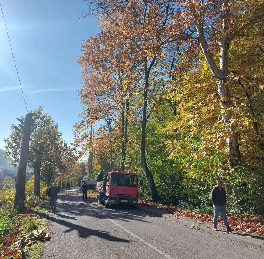 U toku jesenje orezivanje drveća i uređenje drvoreda u Tuzli