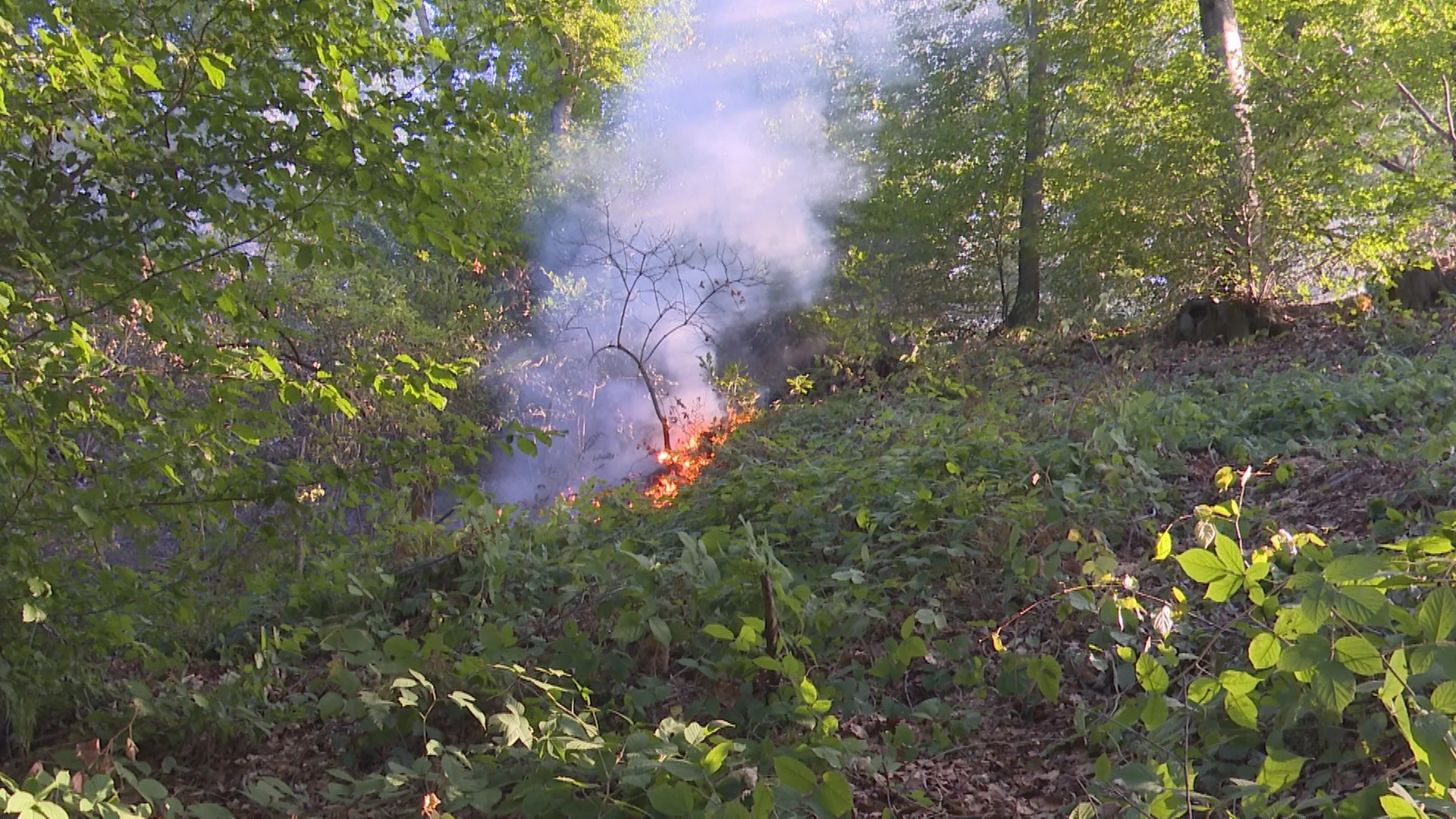 Vatrogasci danima na terenu, požar na Husinu i dalje aktivan (VIDEO)