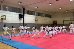 Više od 500 mladih karatista ovog vikenda u Tuzli