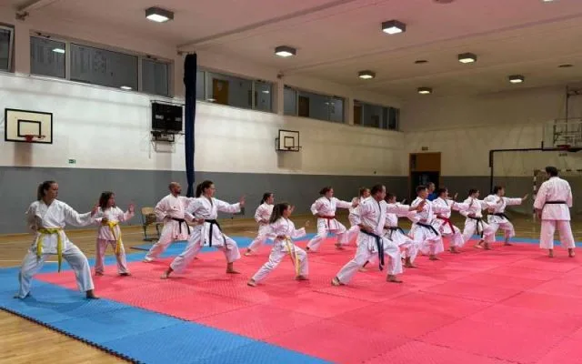 Više od 500 mladih karatista ovog vikenda u Tuzli